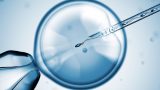 IVF là gì giá bao nhiêu